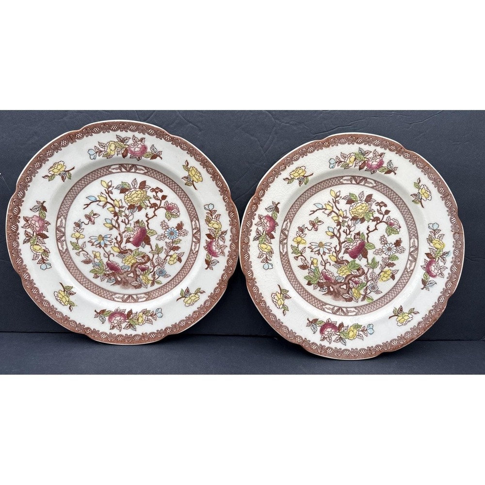 Lot Of 2‎ VTG Indian Tree Dinner Plate 10 1/2" Maruta Japan Earth Pottery